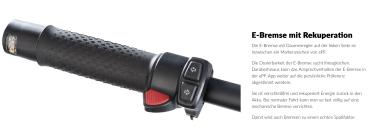 E-Scooter ePf-2 PRO 490W(Wechselakku)hier in der Variante mit dem kleineren Wechselakku (490Wh) für bis zu 60km Reichweite*